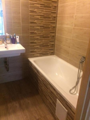 Buda castle Flat